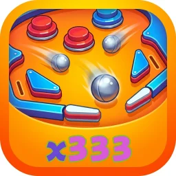 x333